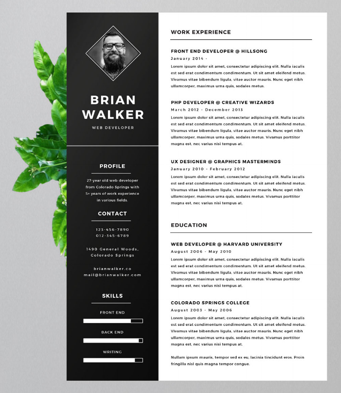 15 Eye-Catching Resume Templates That Will Get You Noticed